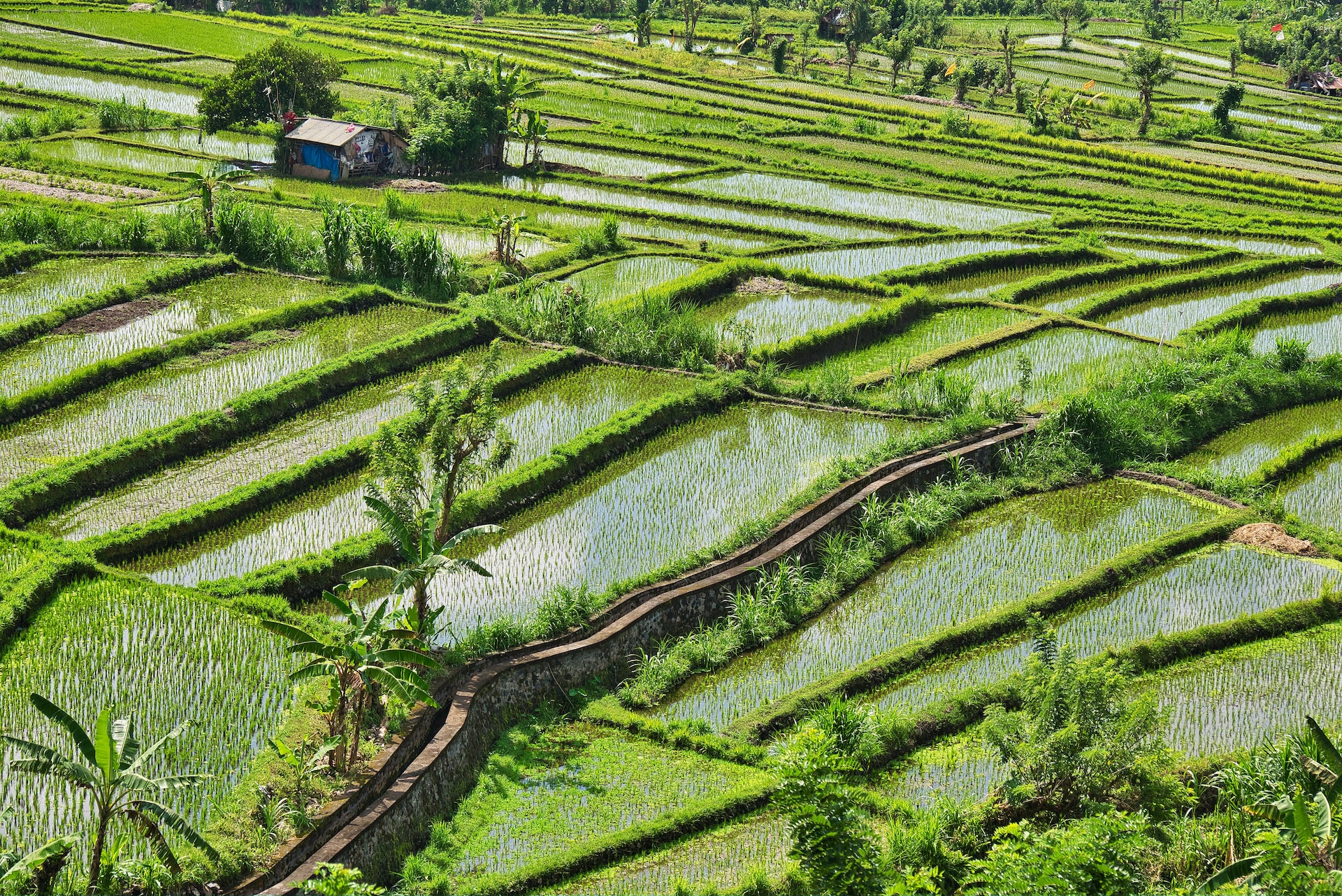 steve-douglas-SmwUfK0KZAA-unsplash